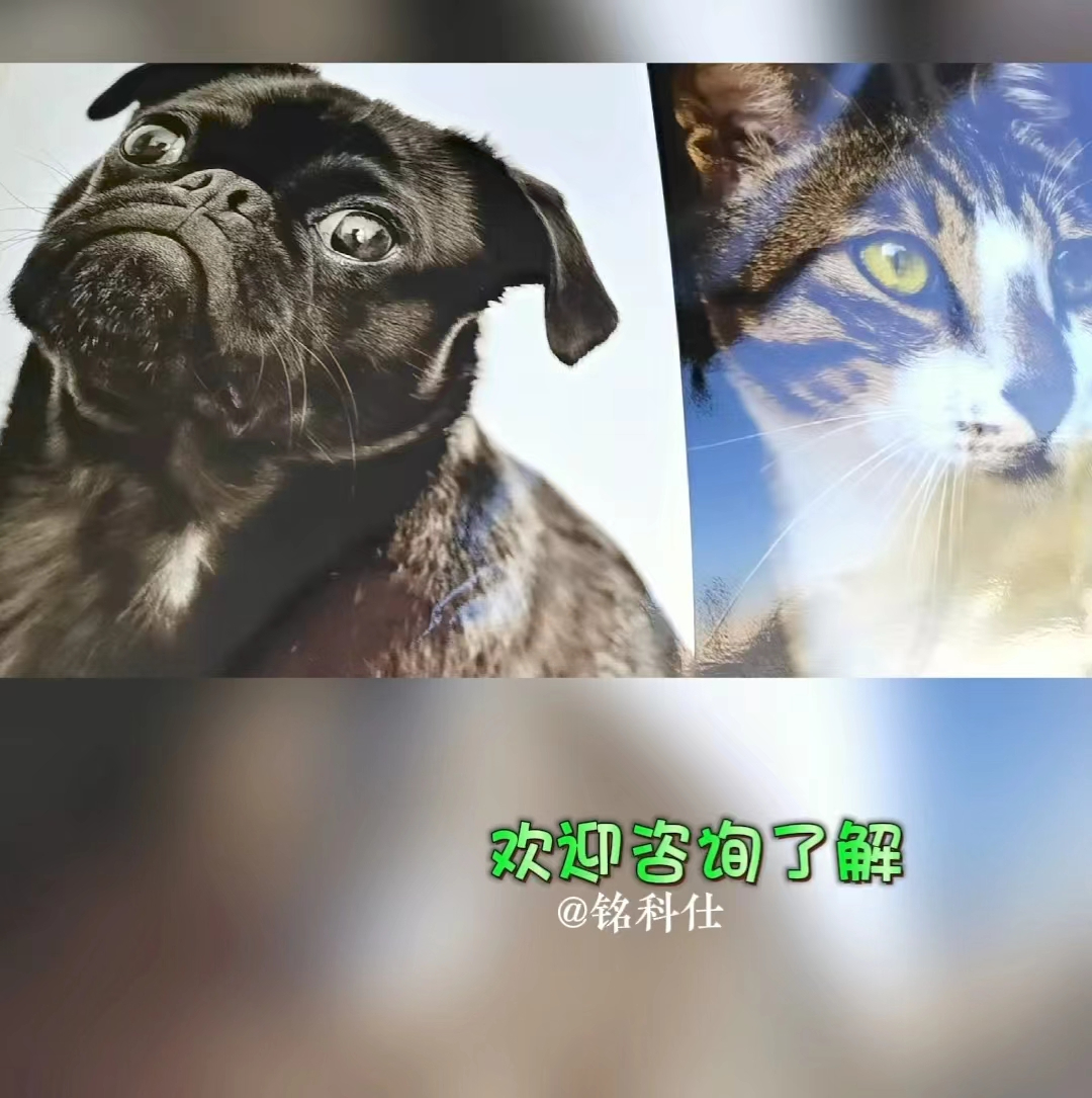 小型uv平板打印機(jī)，有圖就能打印，無需制板支持小批量個(gè)性定制