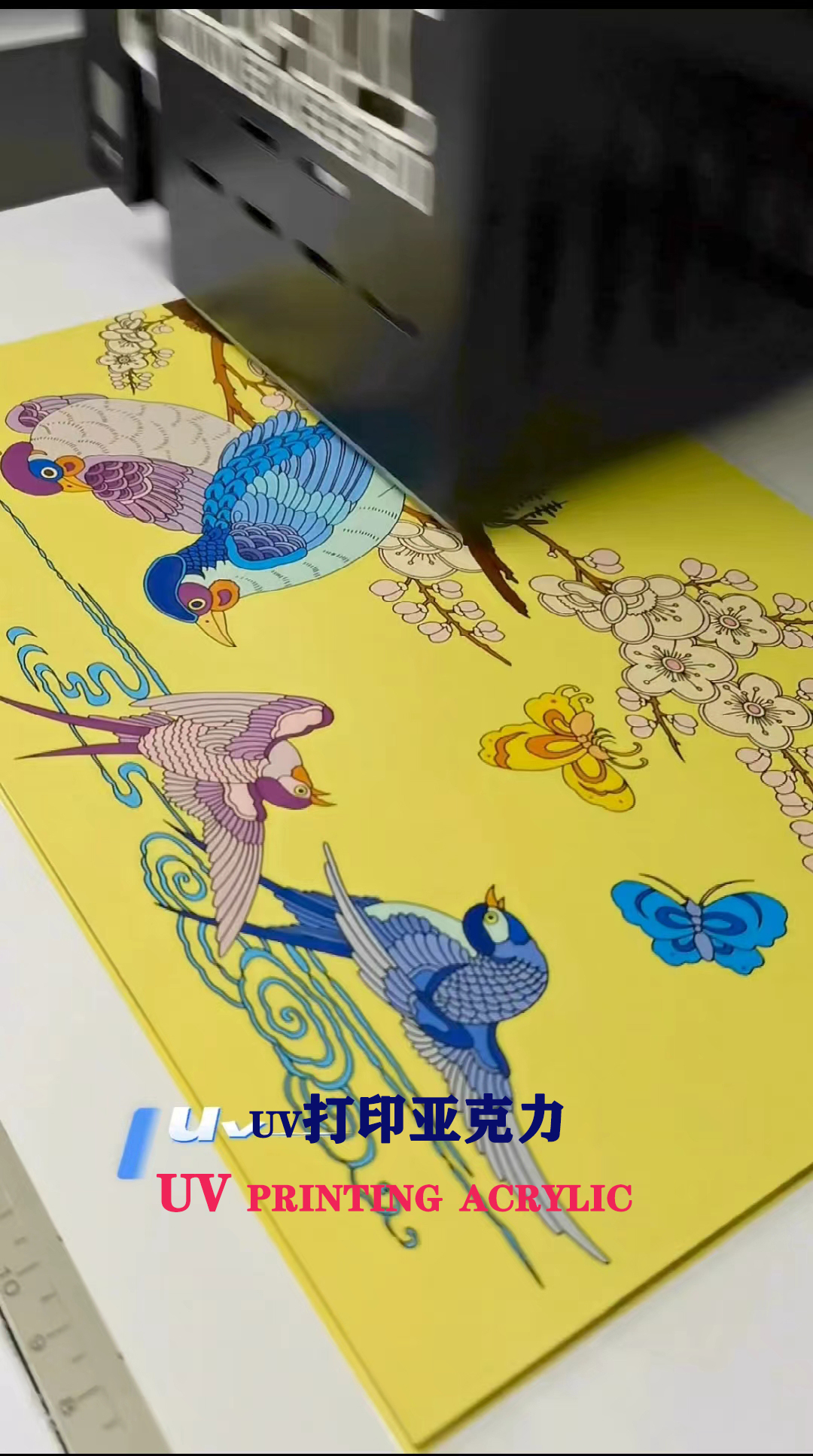 2024年一臺多功能小機器可以做哪些產(chǎn)品？